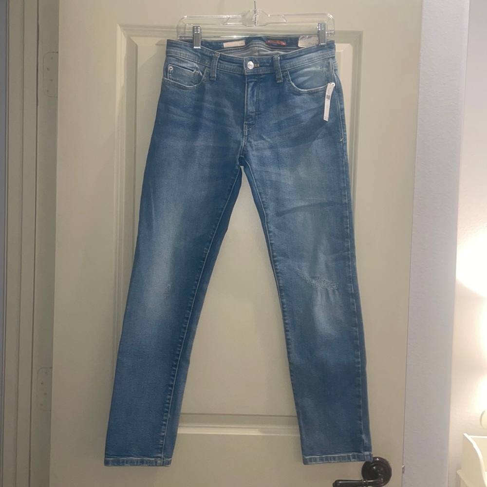 NWT Anthropologie Pilcro slim boyfriend jeans size 26